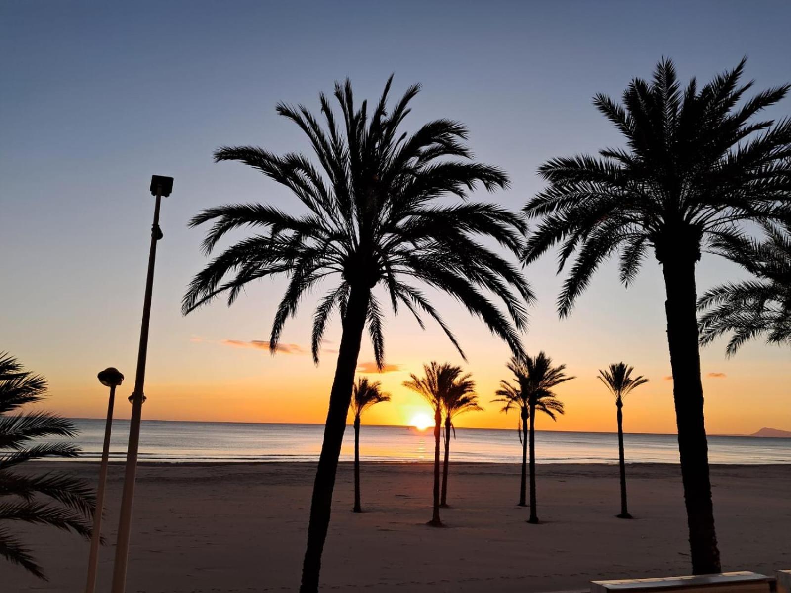 Frente Al Mar Daire Cullera Dış mekan fotoğraf